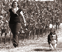 Abbildung: Katrin mit ihrem Hund Luke in den rheinhessischen Weinbergen